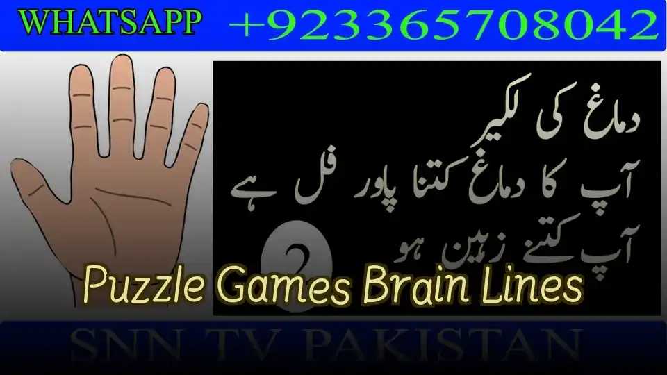 Puzzle Games Brain Lines