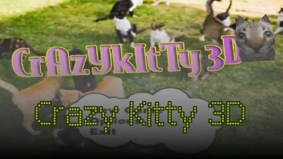 Crazy Kitty 3D