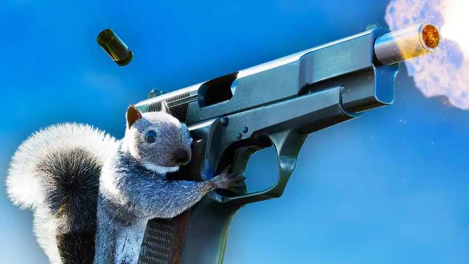 Squirrel With A Gun
